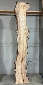 LiveEdge Silver Maple | Silver Maple | Double Diamond | BGDDSM695