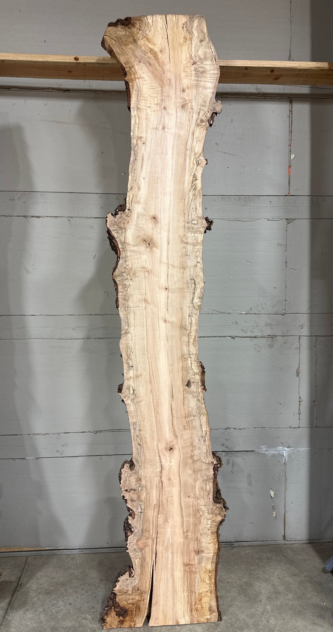 LiveEdge Silver Maple | Silver Maple | Double Diamond | BGDDSM695