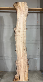 LiveEdge Silver Maple | Silver Maple | Double Diamond | BGDDSM695