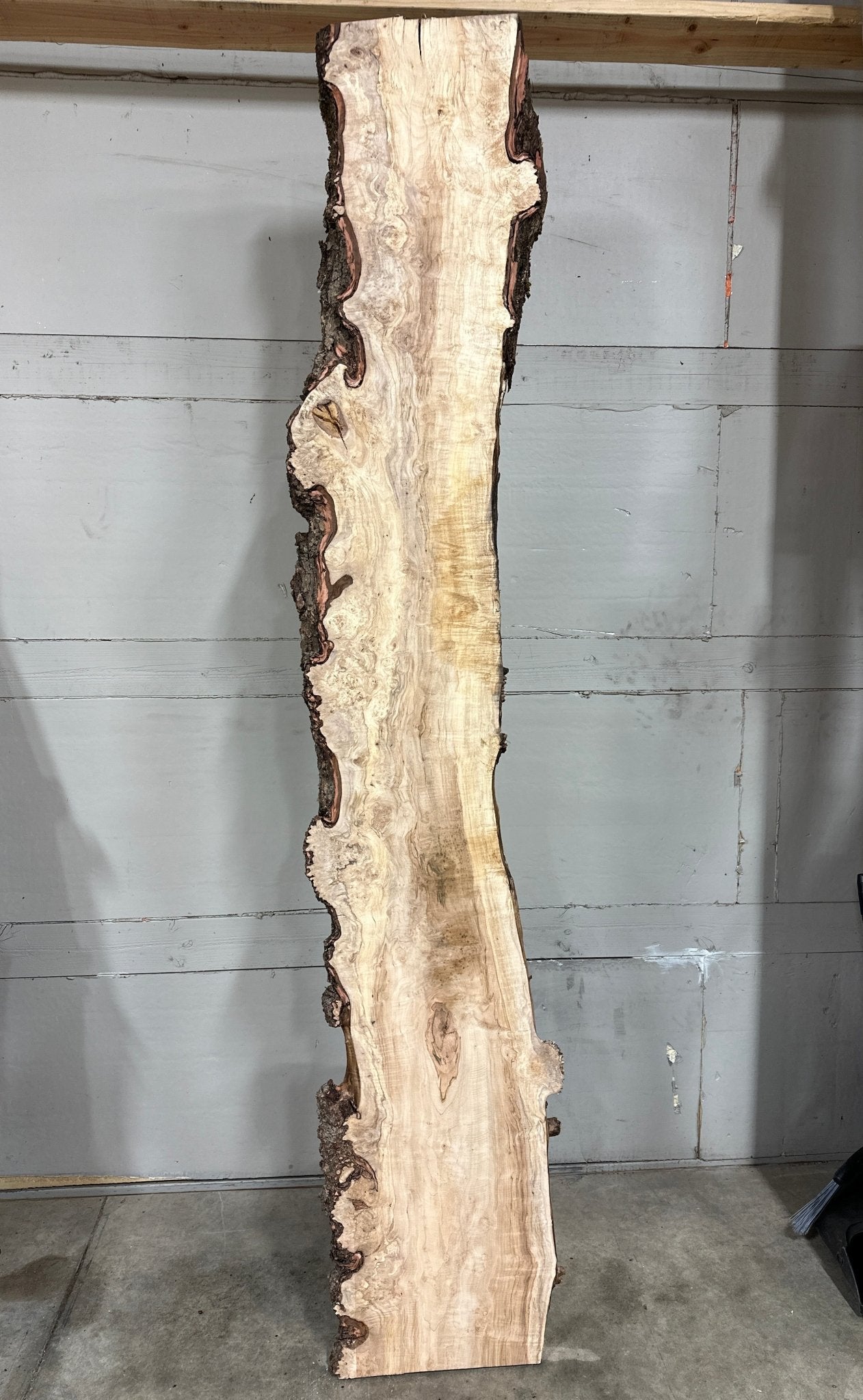 LiveEdge Silver Maple | Silver Maple | Double Diamond | BGDDSM696