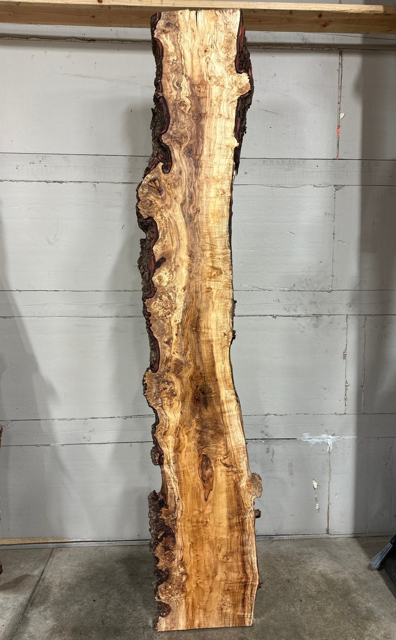 LiveEdge Silver Maple | Silver Maple | Double Diamond | BGDDSM696