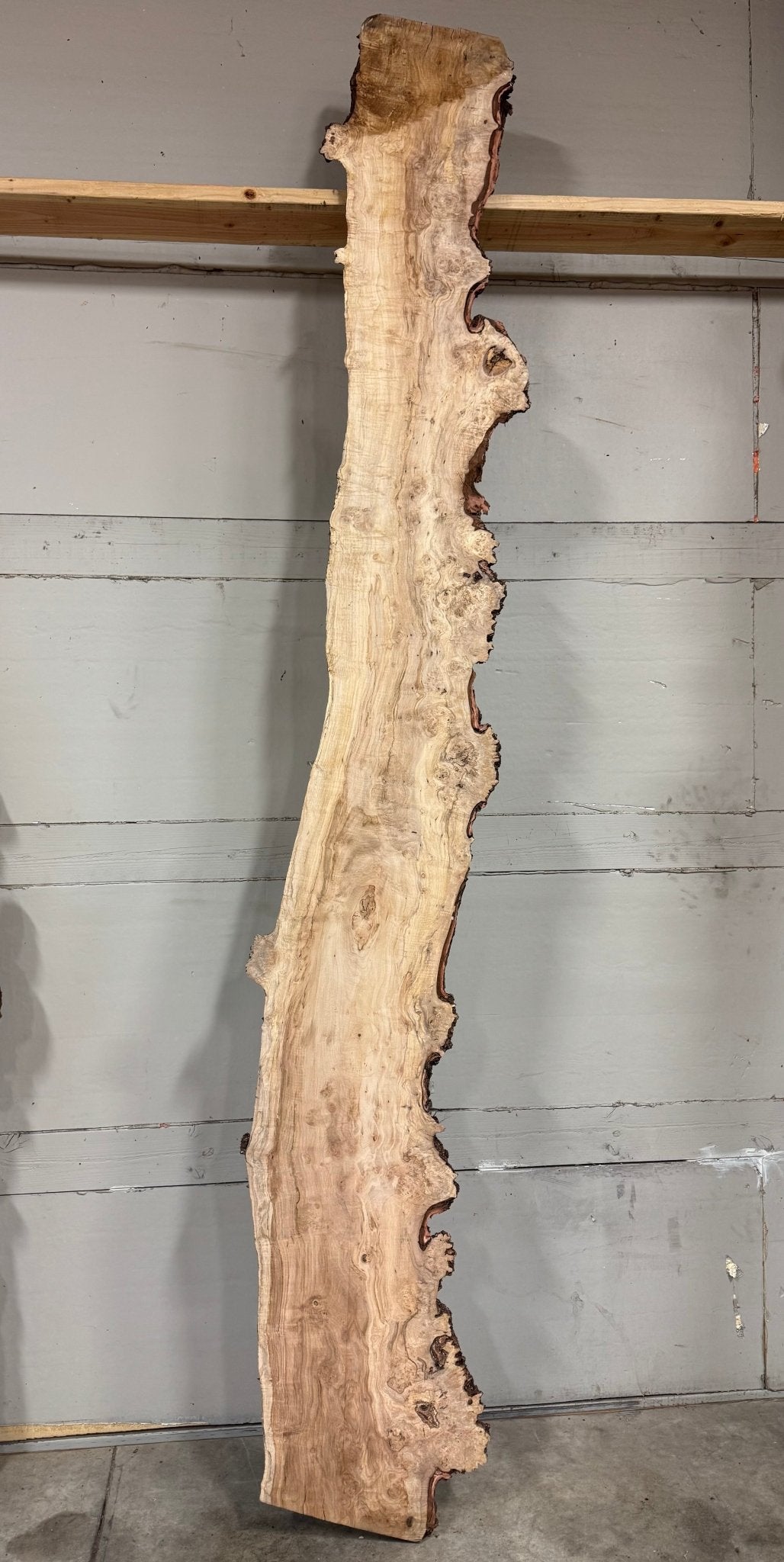 LiveEdge Silver Maple | Silver Maple | Double Diamond | BGDDSM697