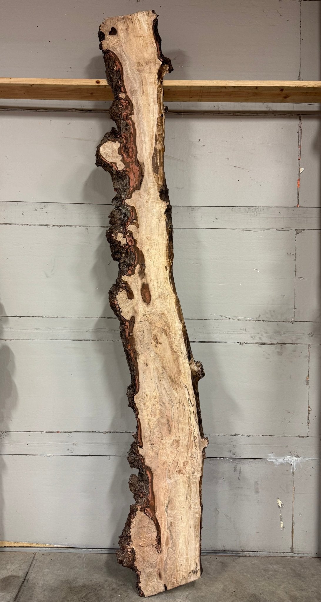 LiveEdge Silver Maple | Silver Maple | Double Diamond | BGDDSM697