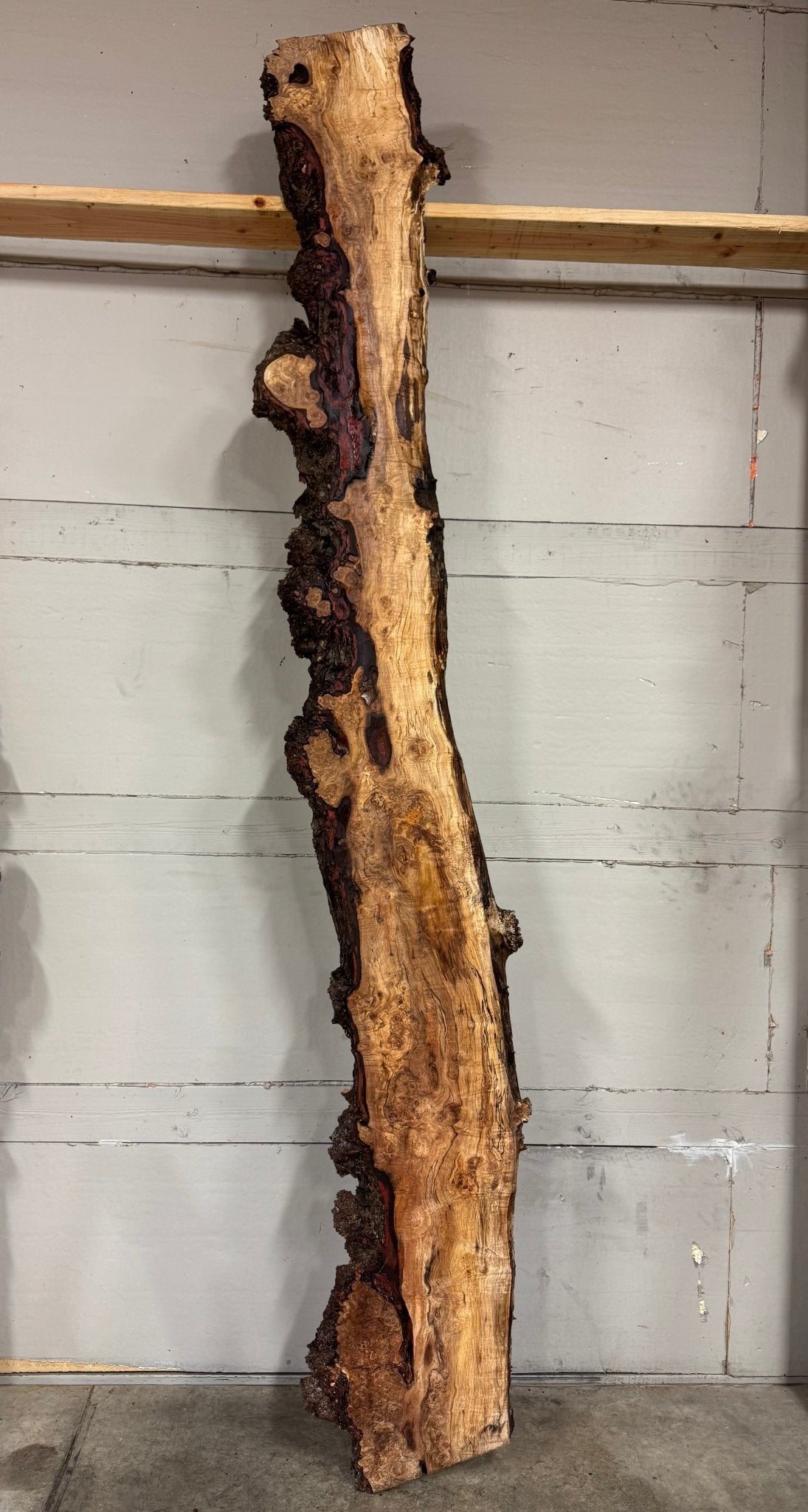 LiveEdge Silver Maple | Silver Maple | Double Diamond | BGDDSM697