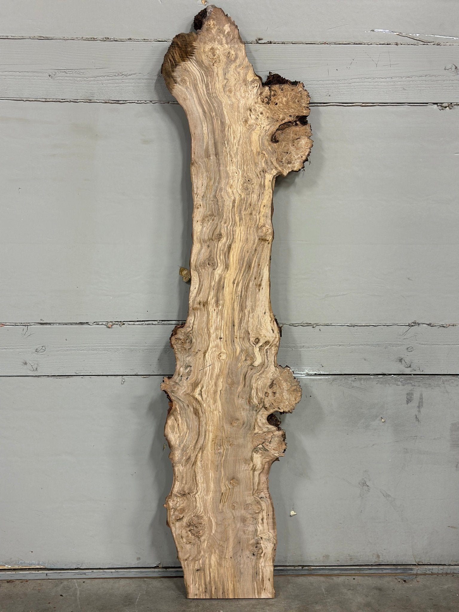 LiveEdge Silver Maple | Silver Maple | Double Diamond | BGDDSM718