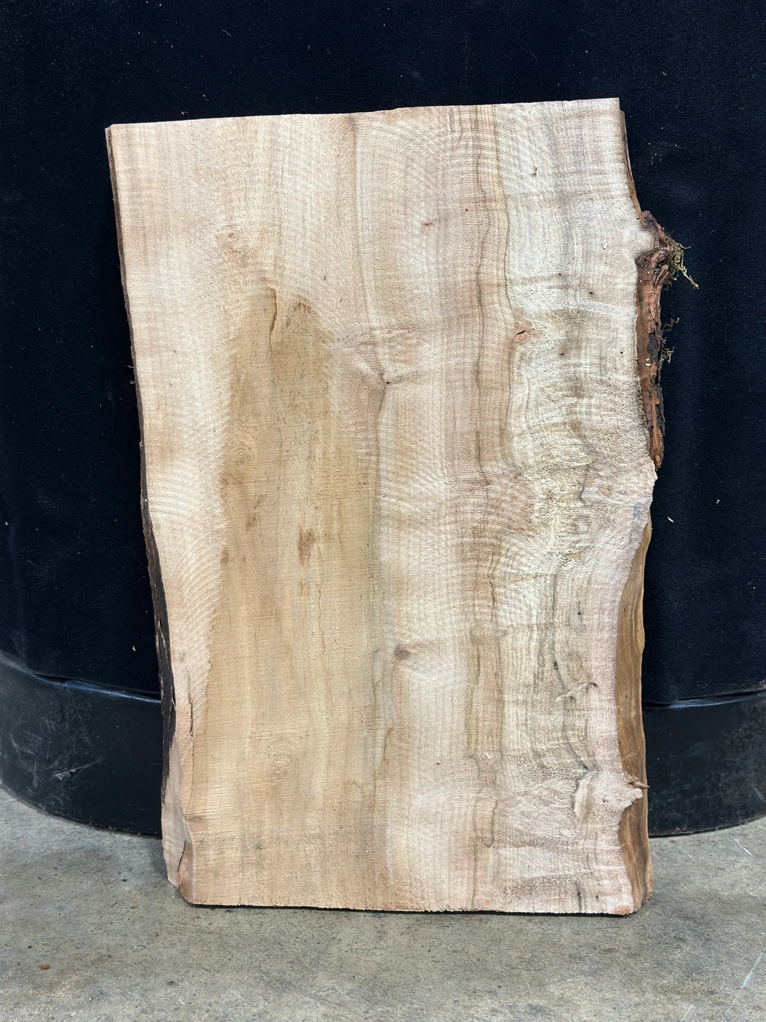 LiveEdge Silver Maple | Silver Maple | Double Diamond | BGDDSM723