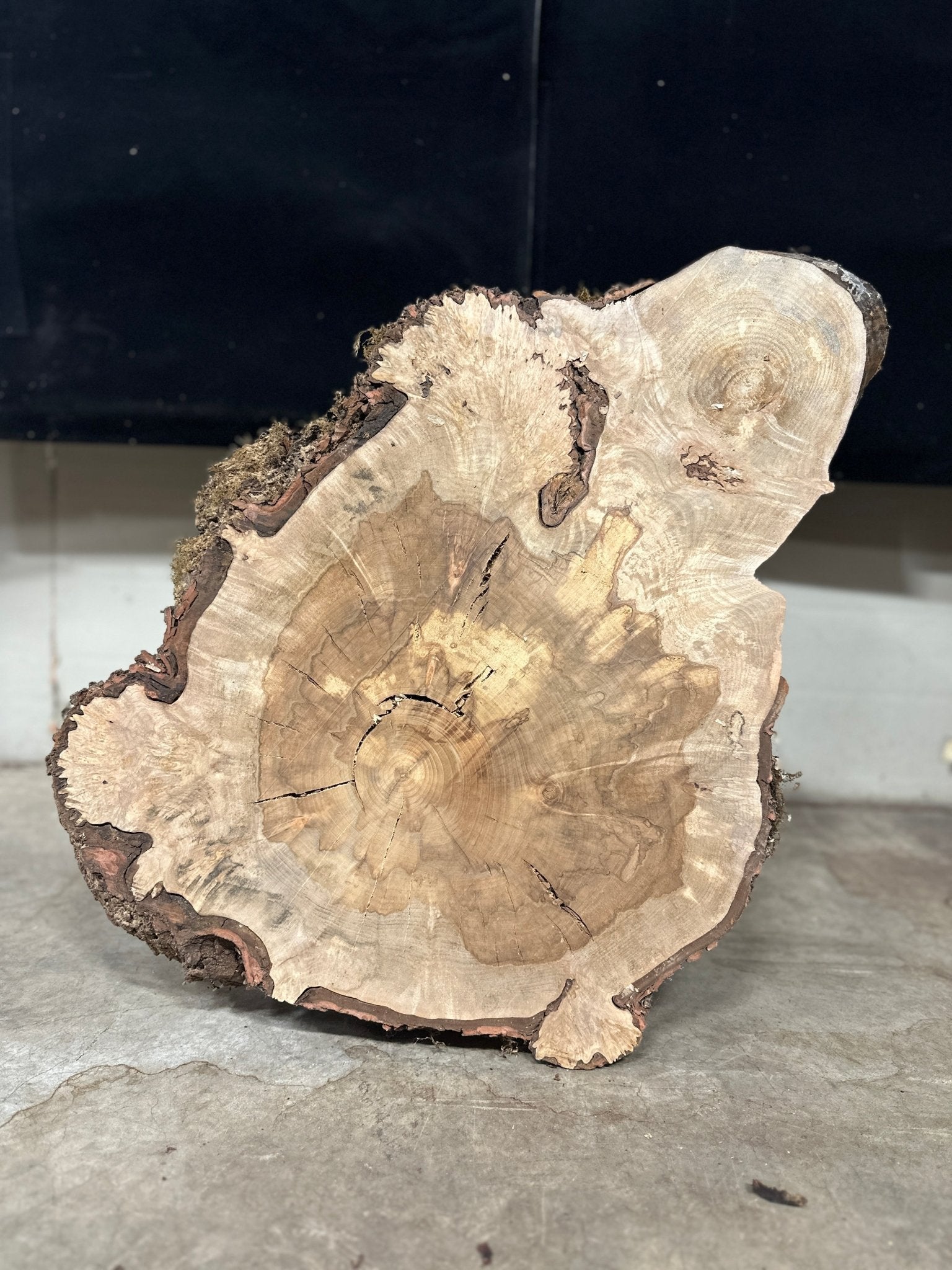 LiveEdge Silver Maple | Silver Maple | Double Diamond | BGDDSMCS.850