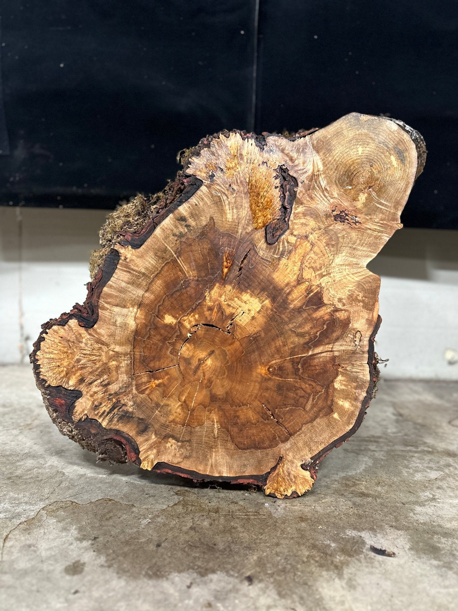 LiveEdge Silver Maple | Silver Maple | Double Diamond | BGDDSMCS.850