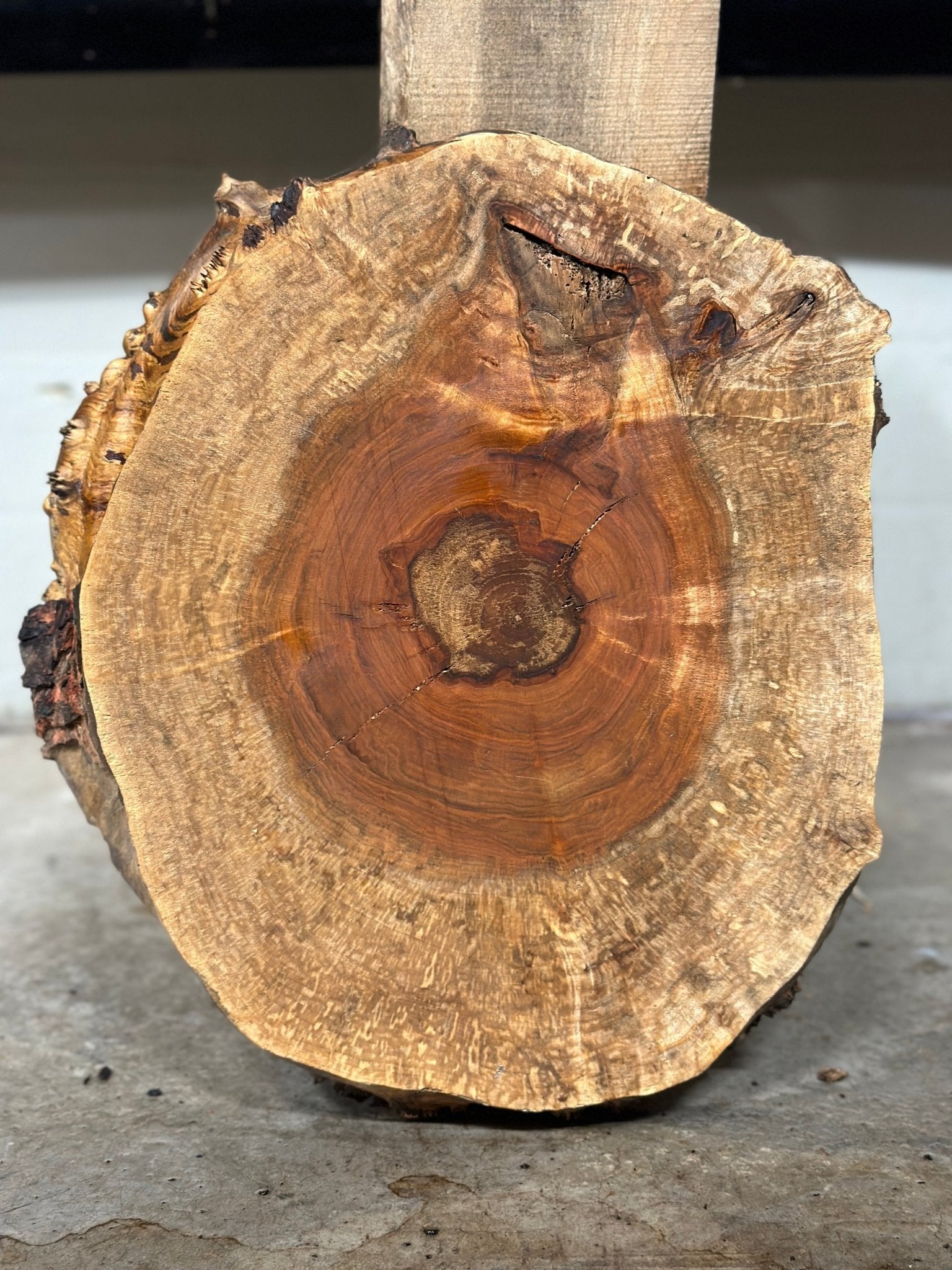 LiveEdge Silver Maple | Silver Maple | Double Diamond | BGDDSMCS.860