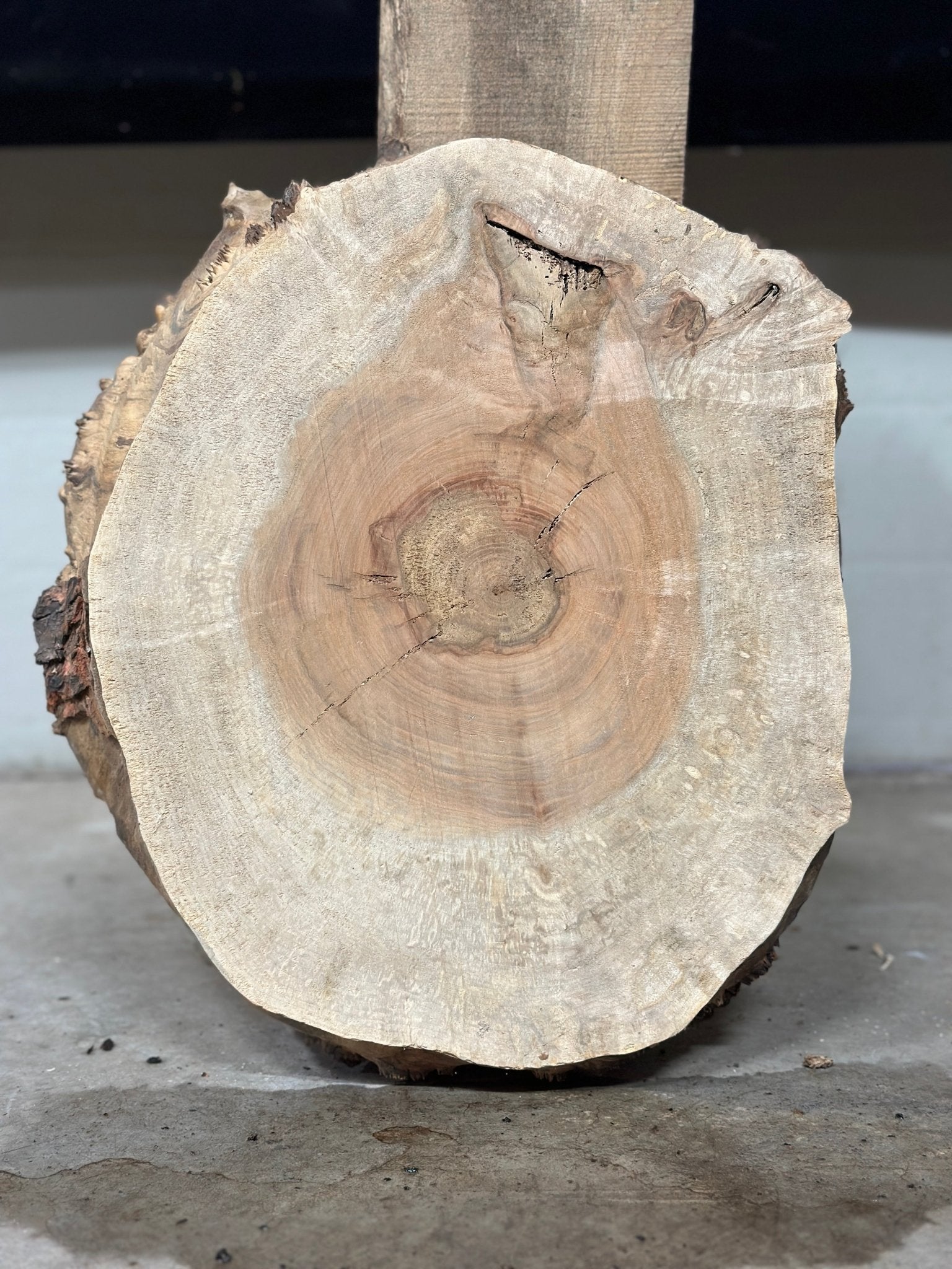 LiveEdge Silver Maple | Silver Maple | Double Diamond | BGDDSMCS.860