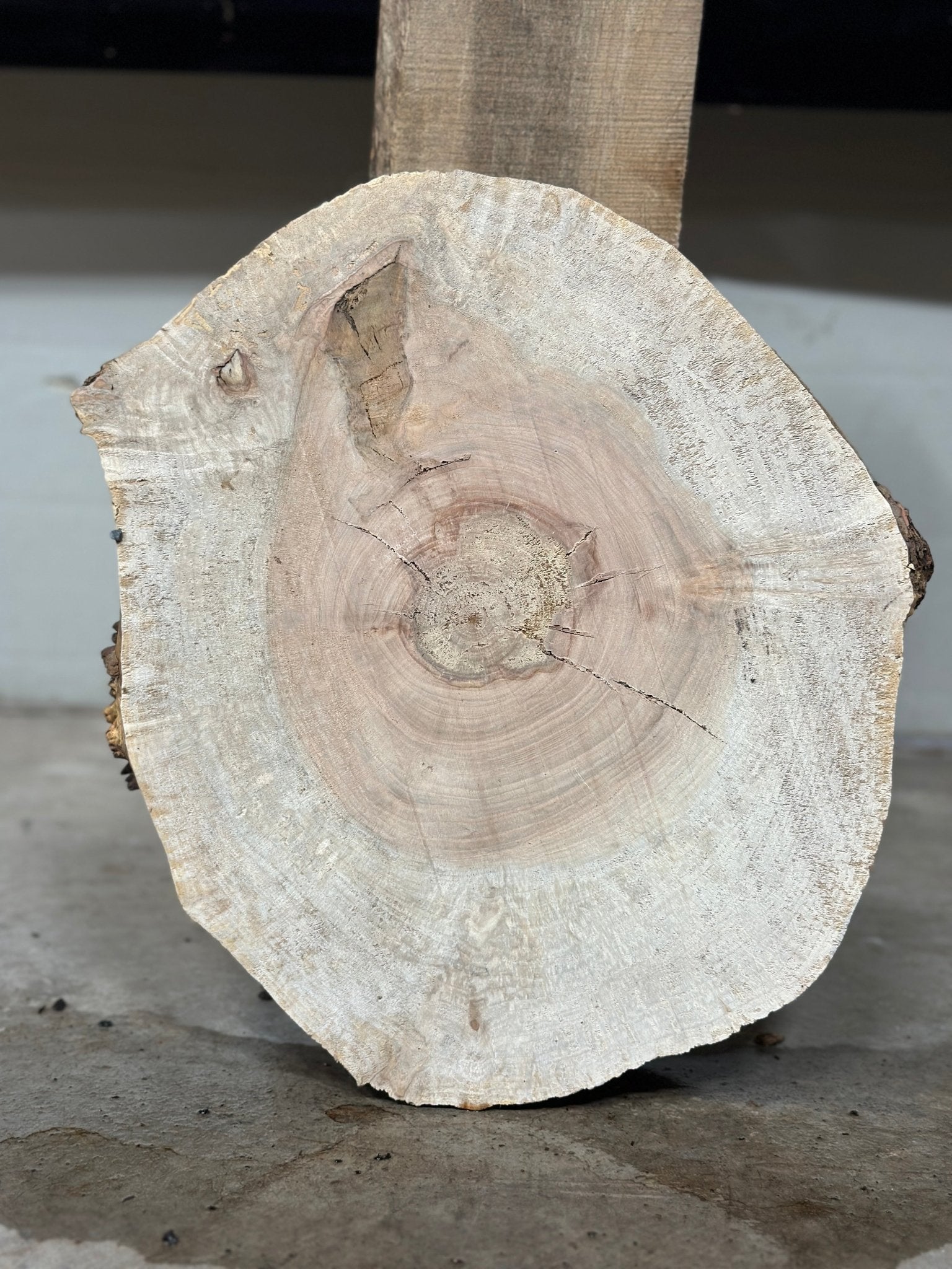 LiveEdge Silver Maple | Silver Maple | Double Diamond | BGDDSMCS.861