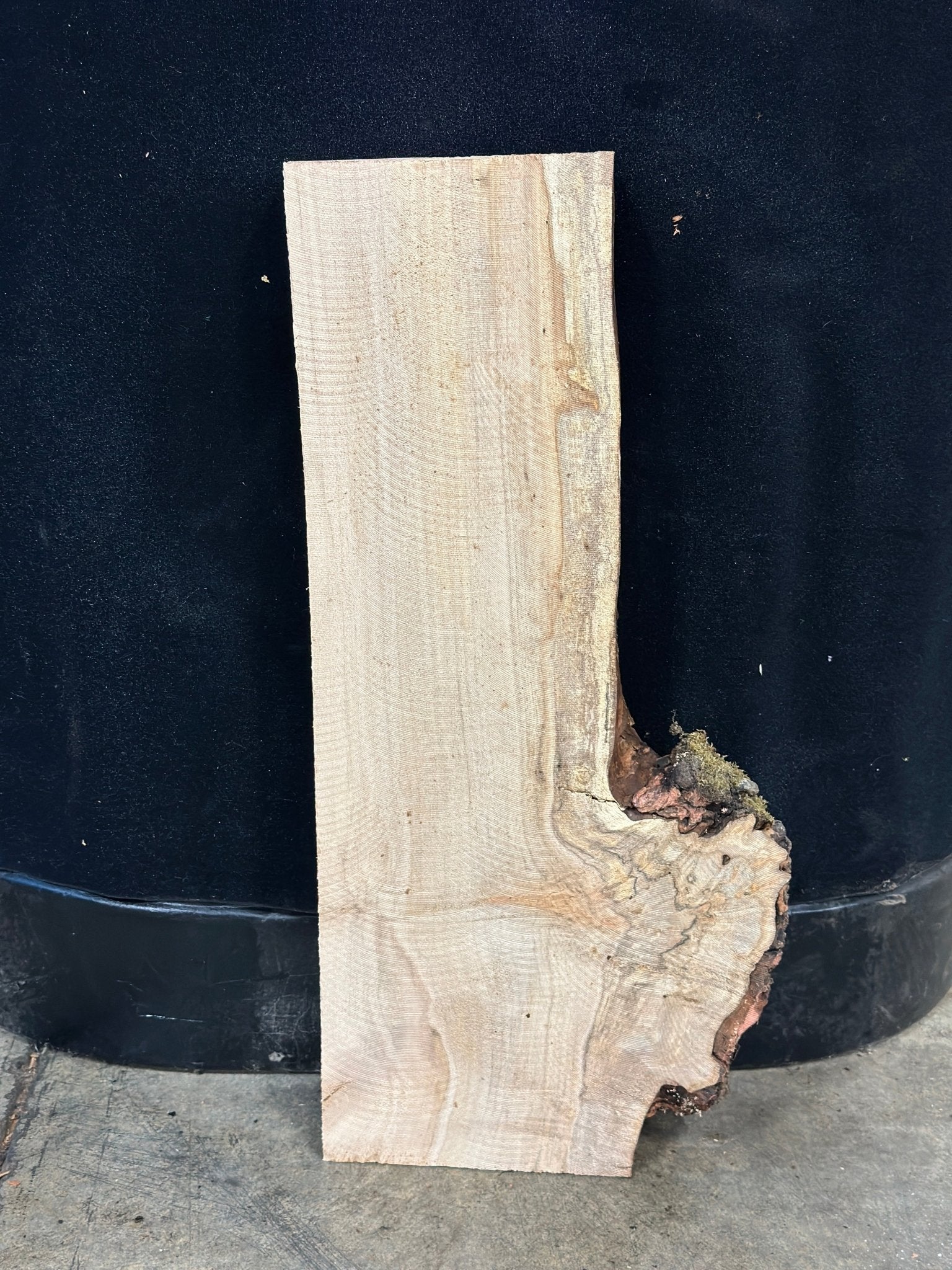 LiveEdge Silver Maple | Silver Maple | Double Diamond | BGDDSMCS.903