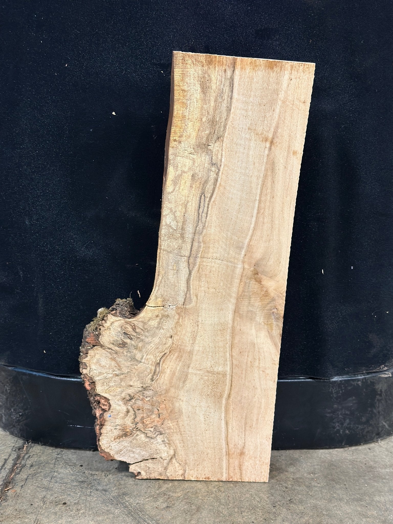 LiveEdge Silver Maple | Silver Maple | Double Diamond | BGDDSMCS.903