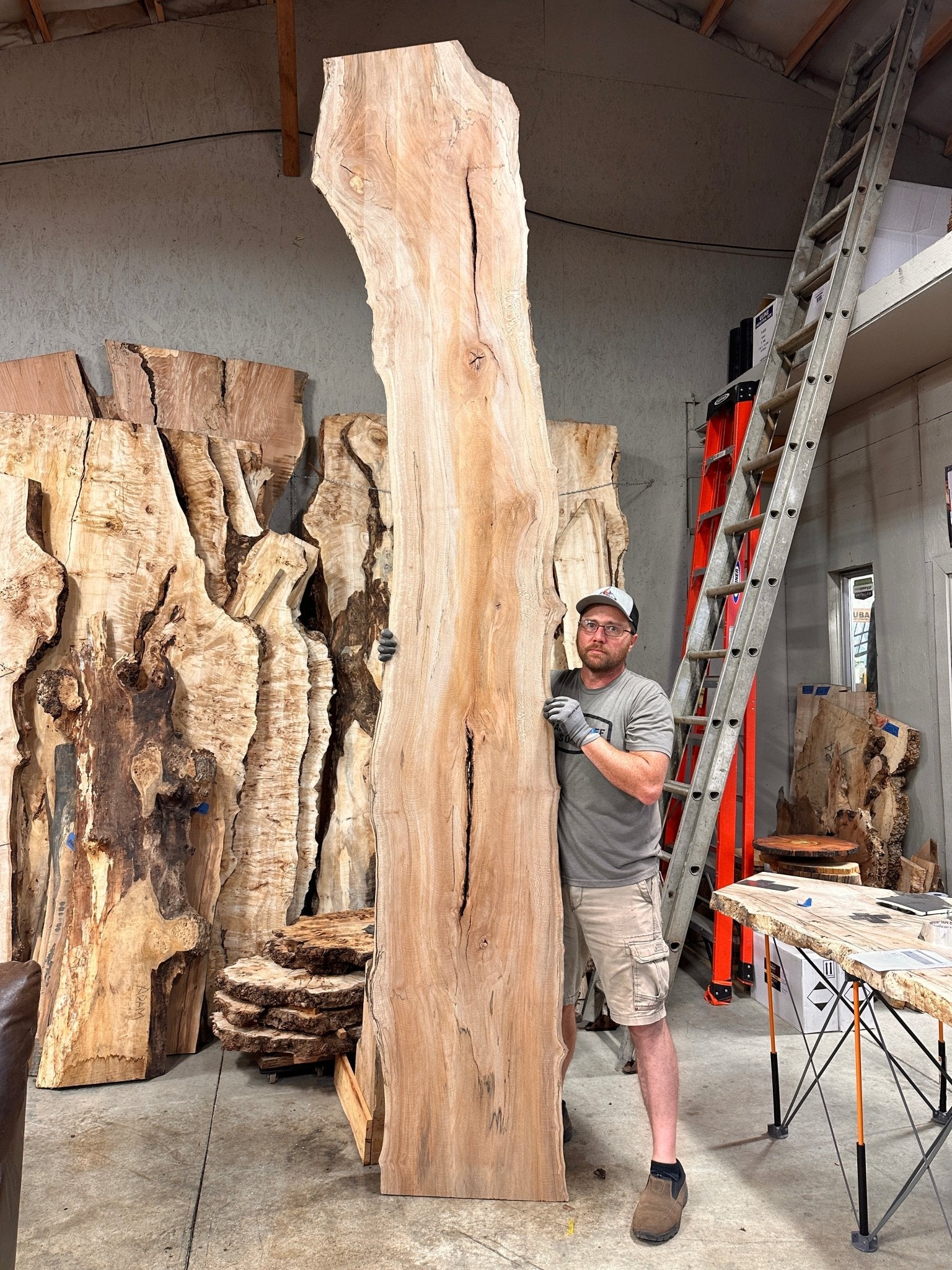 LiveEdge Sycamore | Big Leaf Maple | Double Diamond