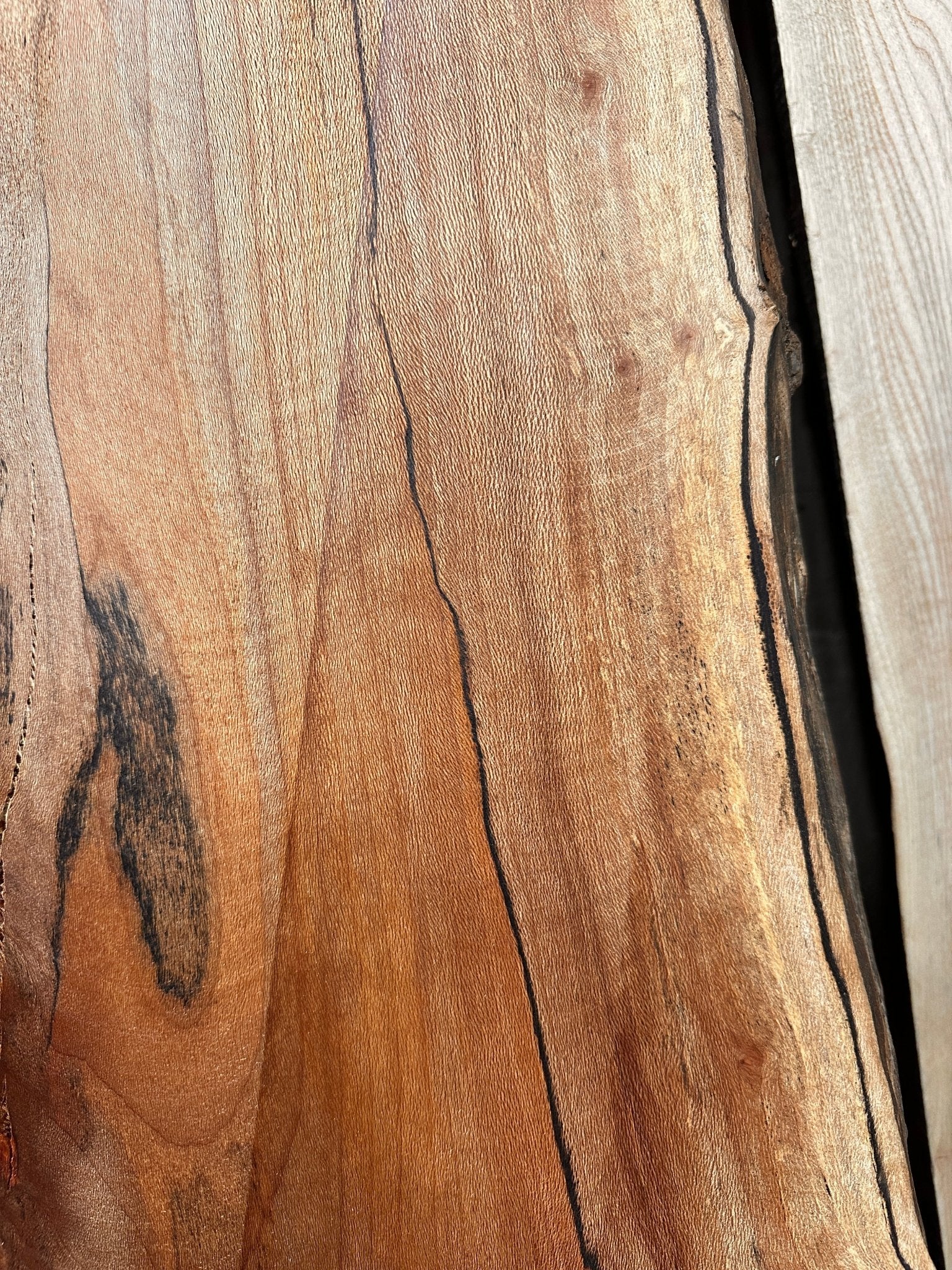 LiveEdge Sycamore | Big Leaf Maple | Double Diamond