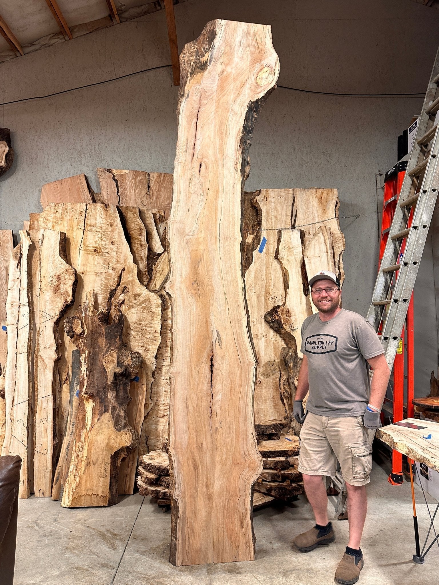 LiveEdge Sycamore | Big Leaf Maple | Double Diamond
