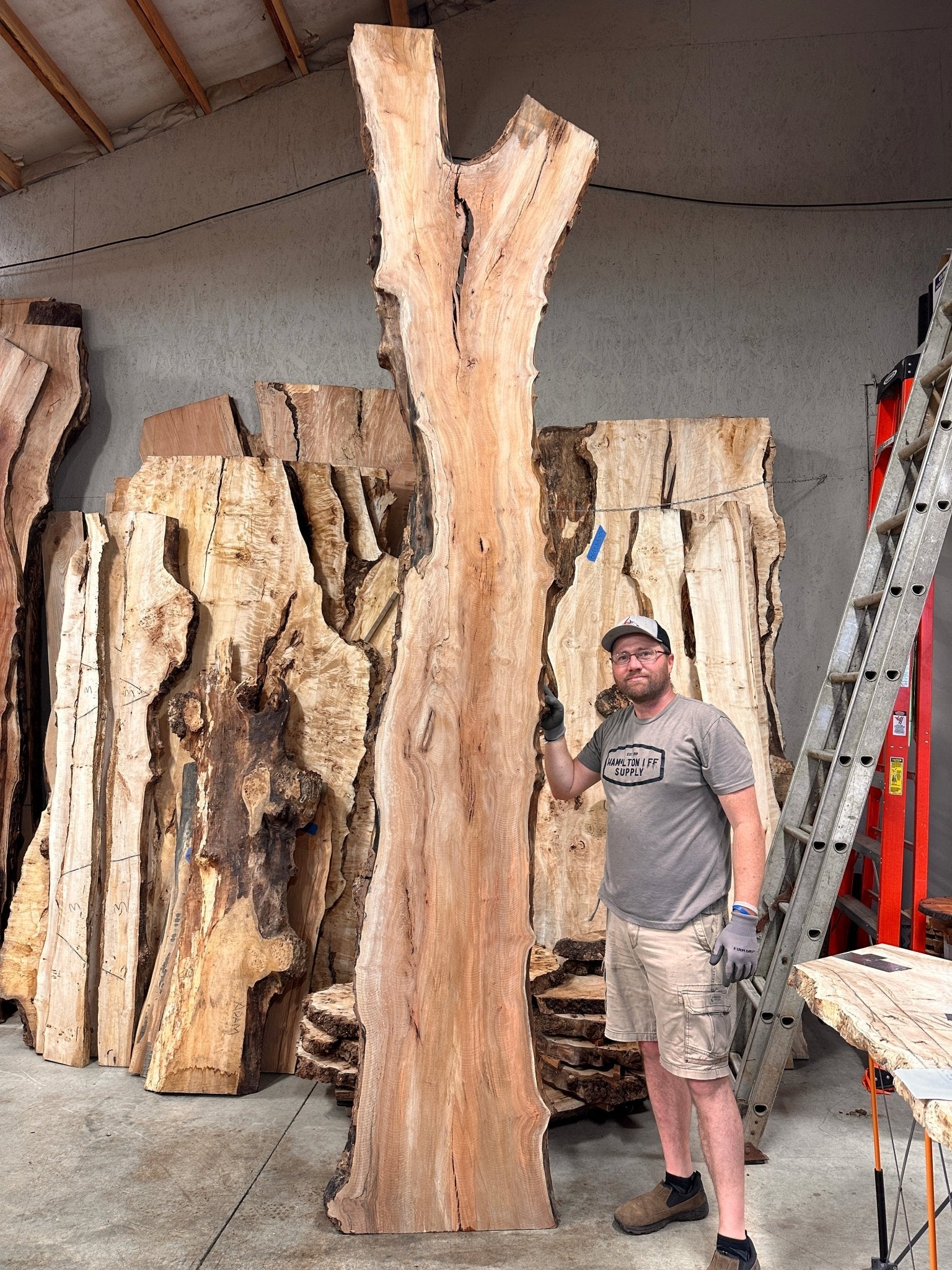 LiveEdge Sycamore | Big Leaf Maple | Double Diamond