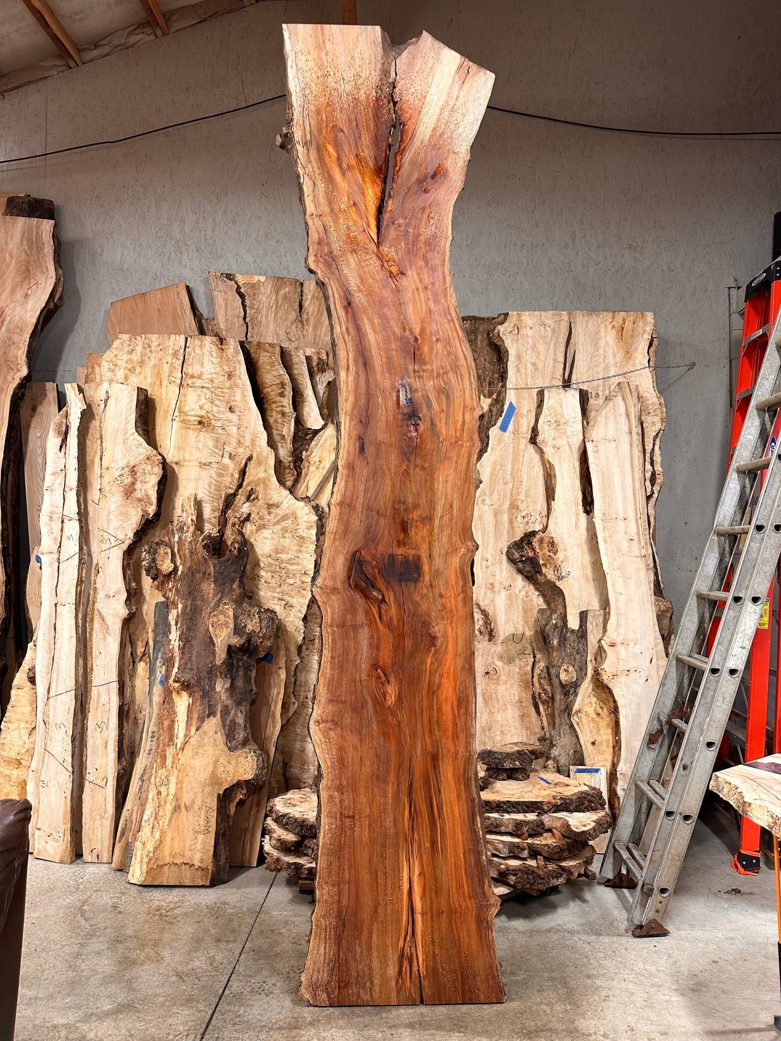 LiveEdge Sycamore | Big Leaf Maple | Double Diamond