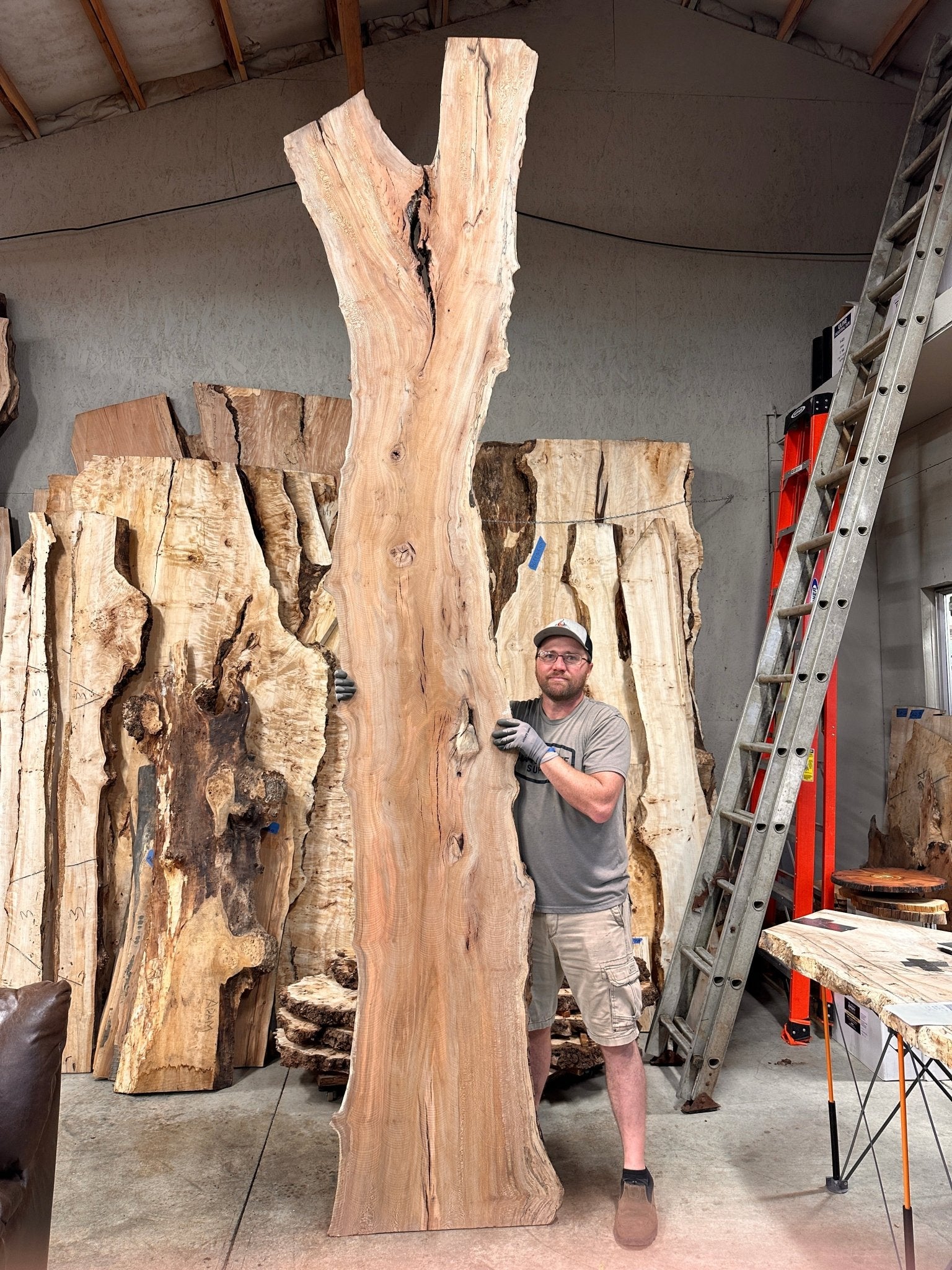 LiveEdge Sycamore | Big Leaf Maple | Double Diamond