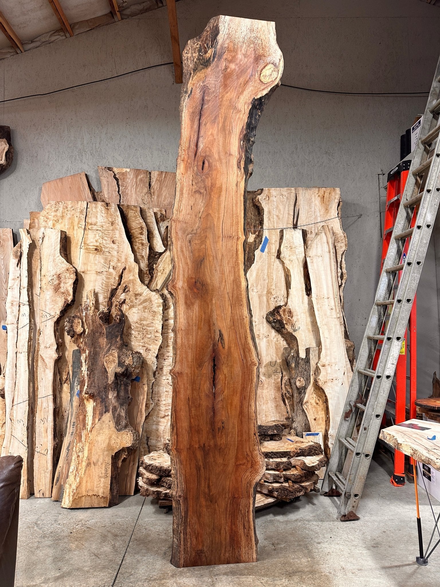 LiveEdge Sycamore | Big Leaf Maple | Double Diamond