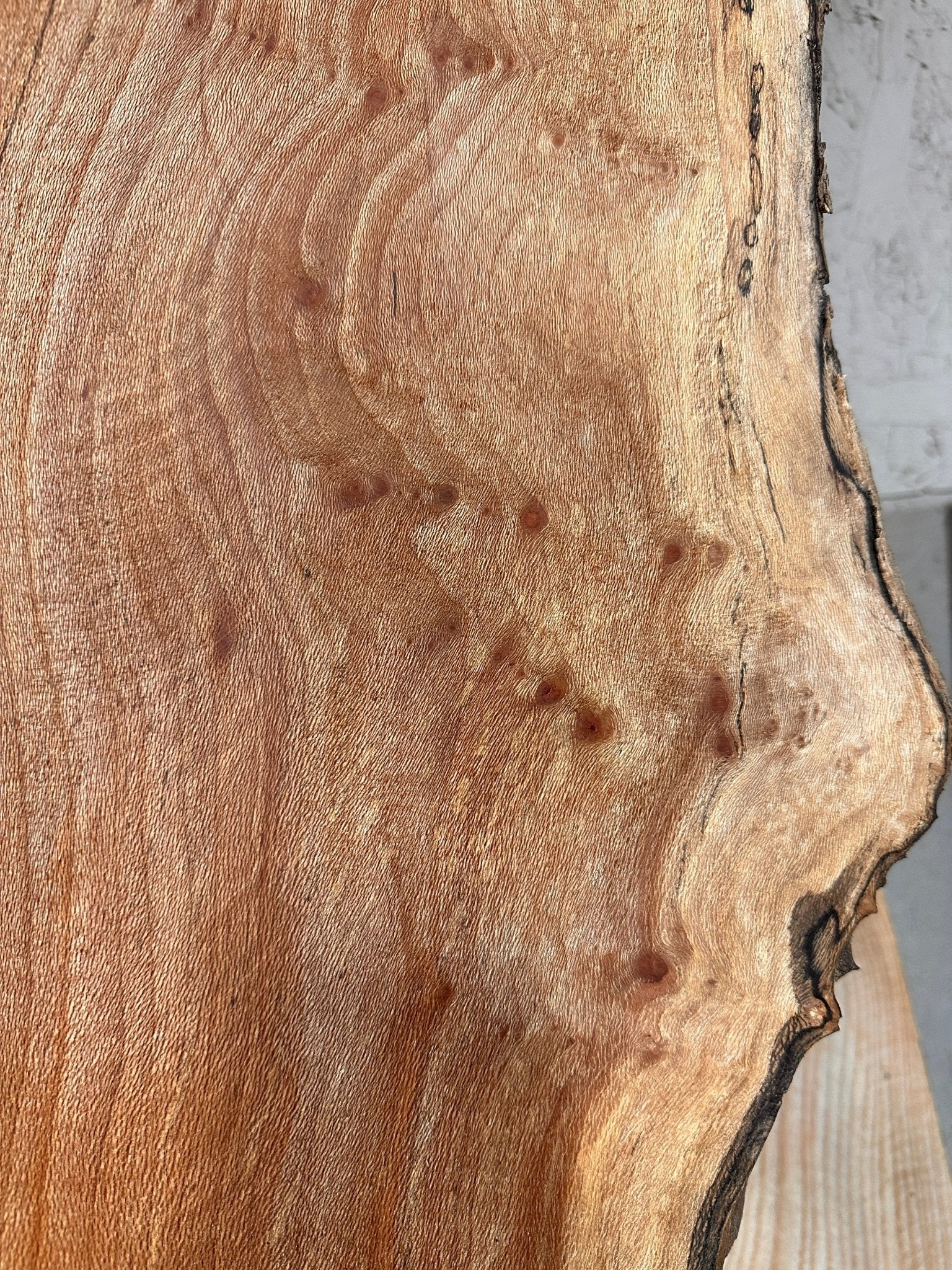 LiveEdge Sycamore | Big Leaf Maple | Double Diamond