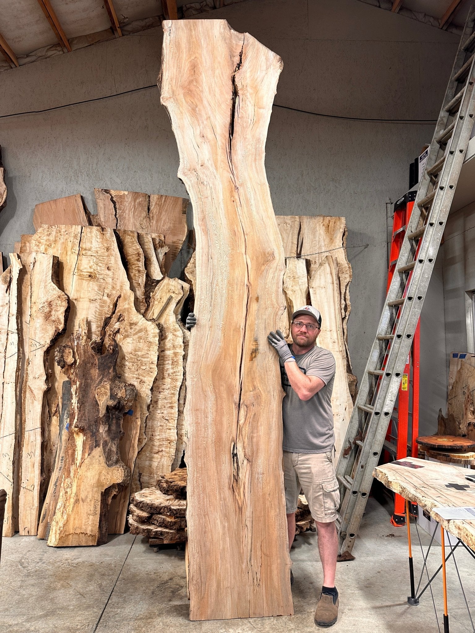 LiveEdge Sycamore | Big Leaf Maple | Double Diamond