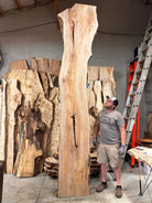 LiveEdge Sycamore | Big Leaf Maple | Double Diamond