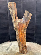 LiveEdge Sycamore | Black Locust | Double Diamond