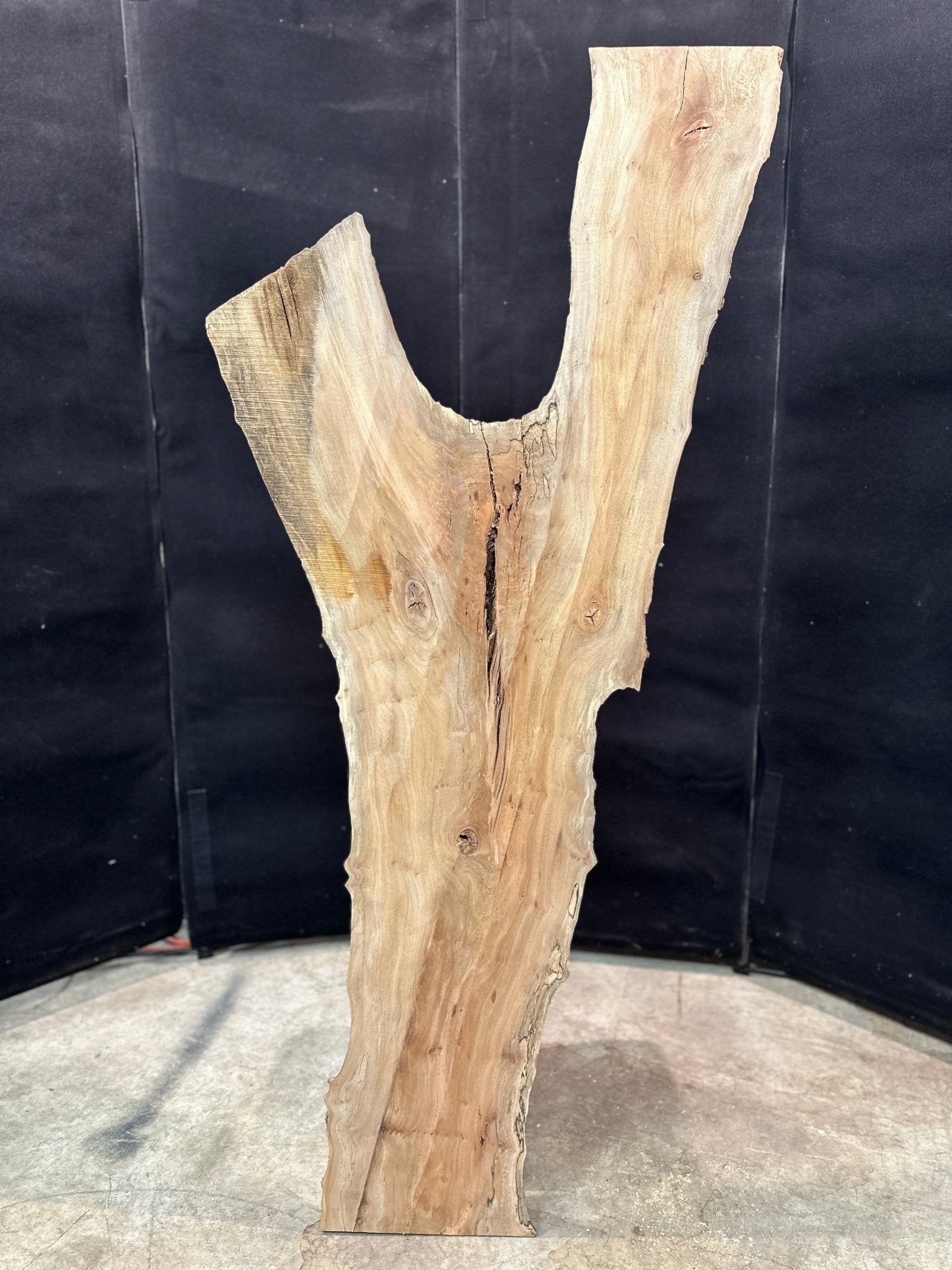 LiveEdge Sycamore | Black Locust | Double Diamond