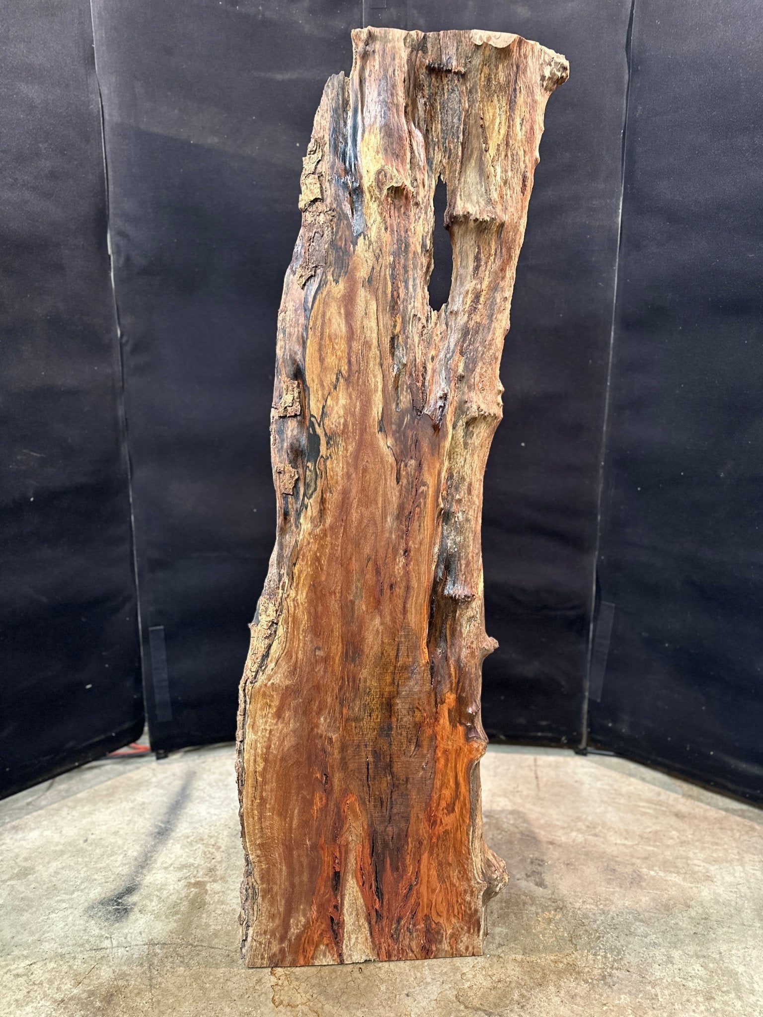 LiveEdge Sycamore | Black Locust | Double Diamond