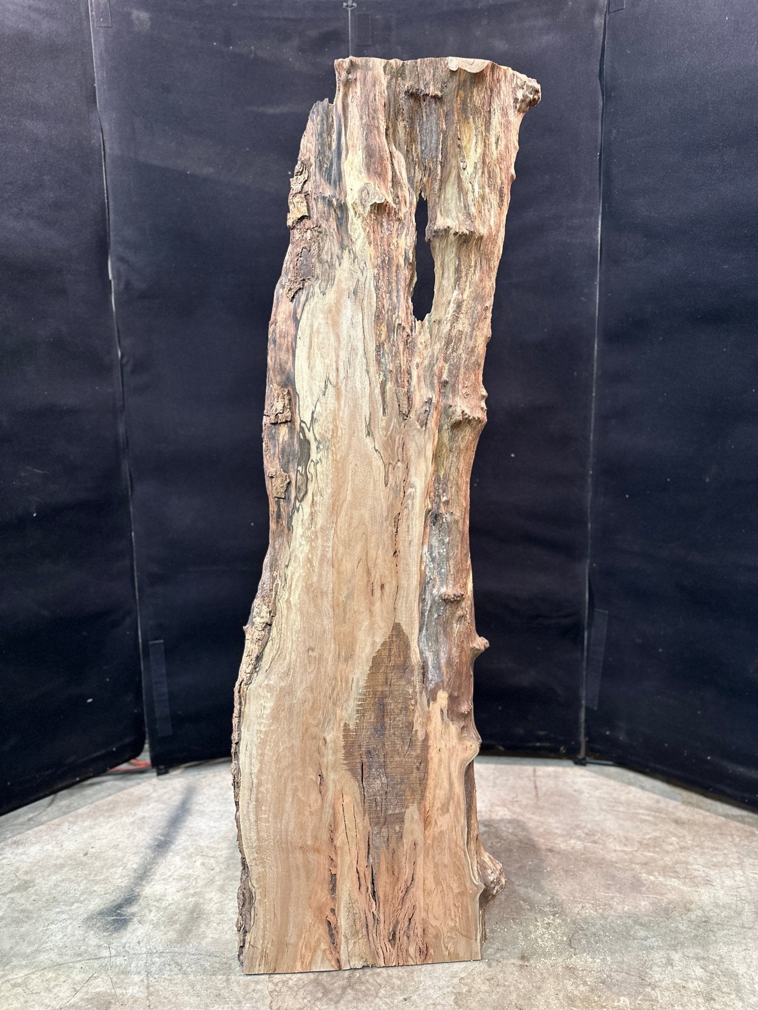 LiveEdge Sycamore | Black Locust | Double Diamond