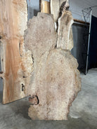 LiveEdge Sycamore Burl | Ancient Redwood | Adam Luna