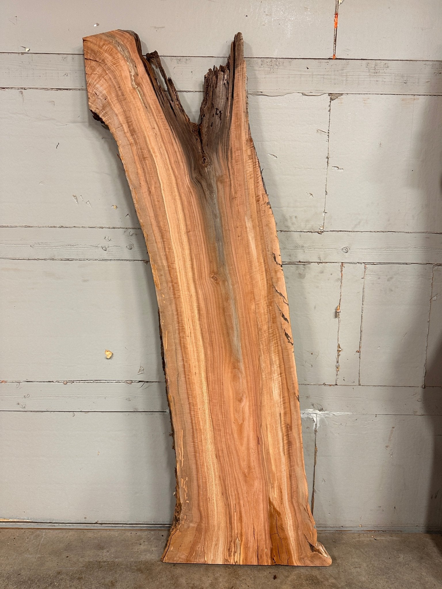 LiveEdge Washington Apple | Craft Wood & Shapes | Double Diamond | BGDDAP707