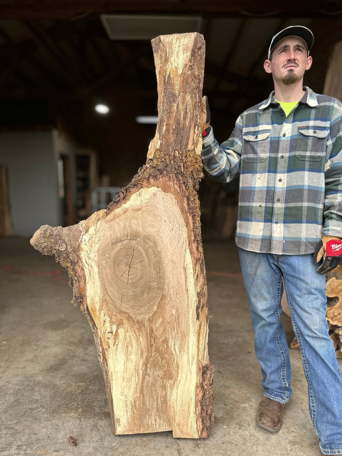 798536 Double Diamond | LiveEdge White Oak | White Oak | BGDDWO359 – Hamilton ...