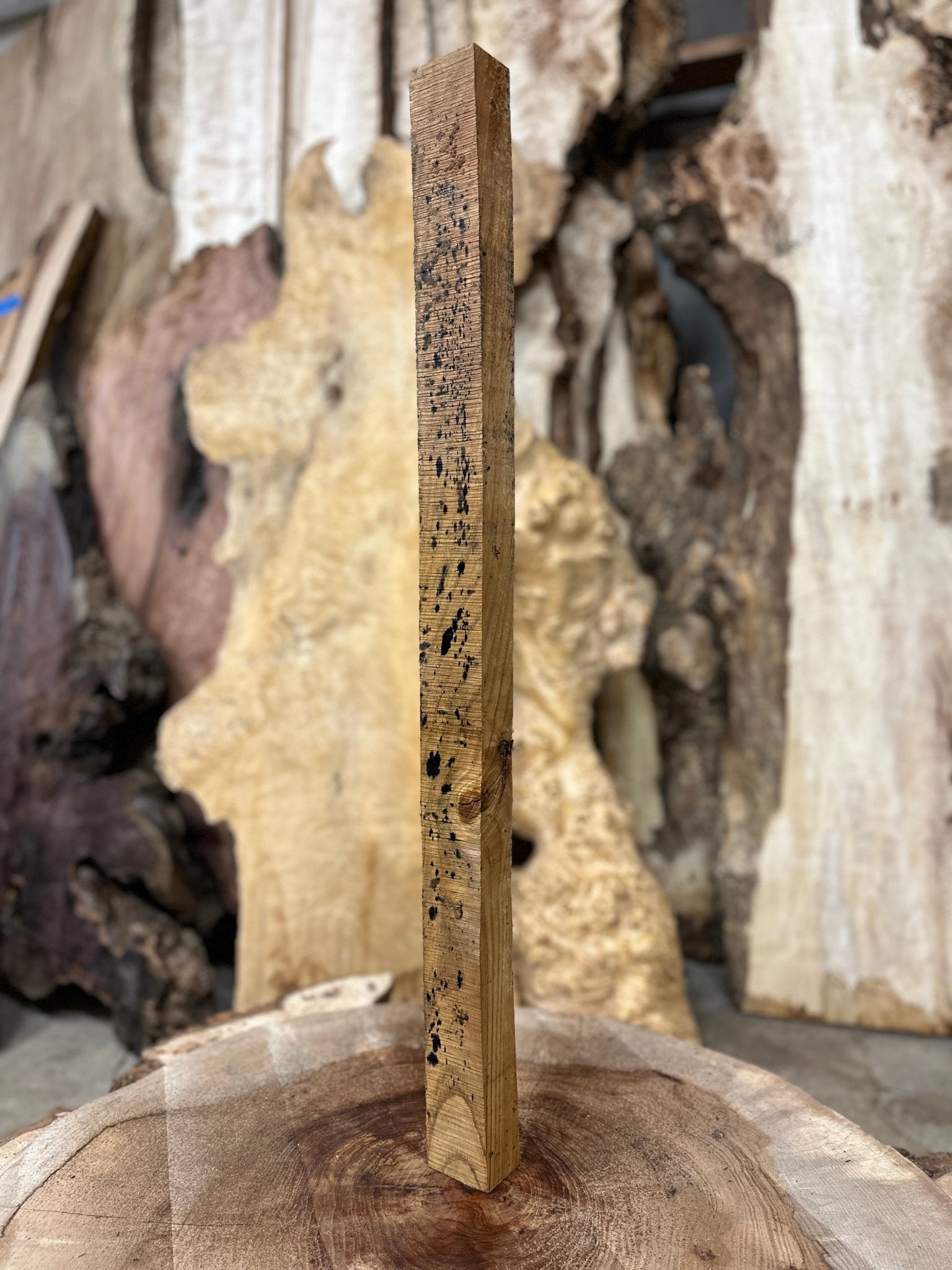 American Chestnut Blank | American Chestnut | Hamilton Lee Supply