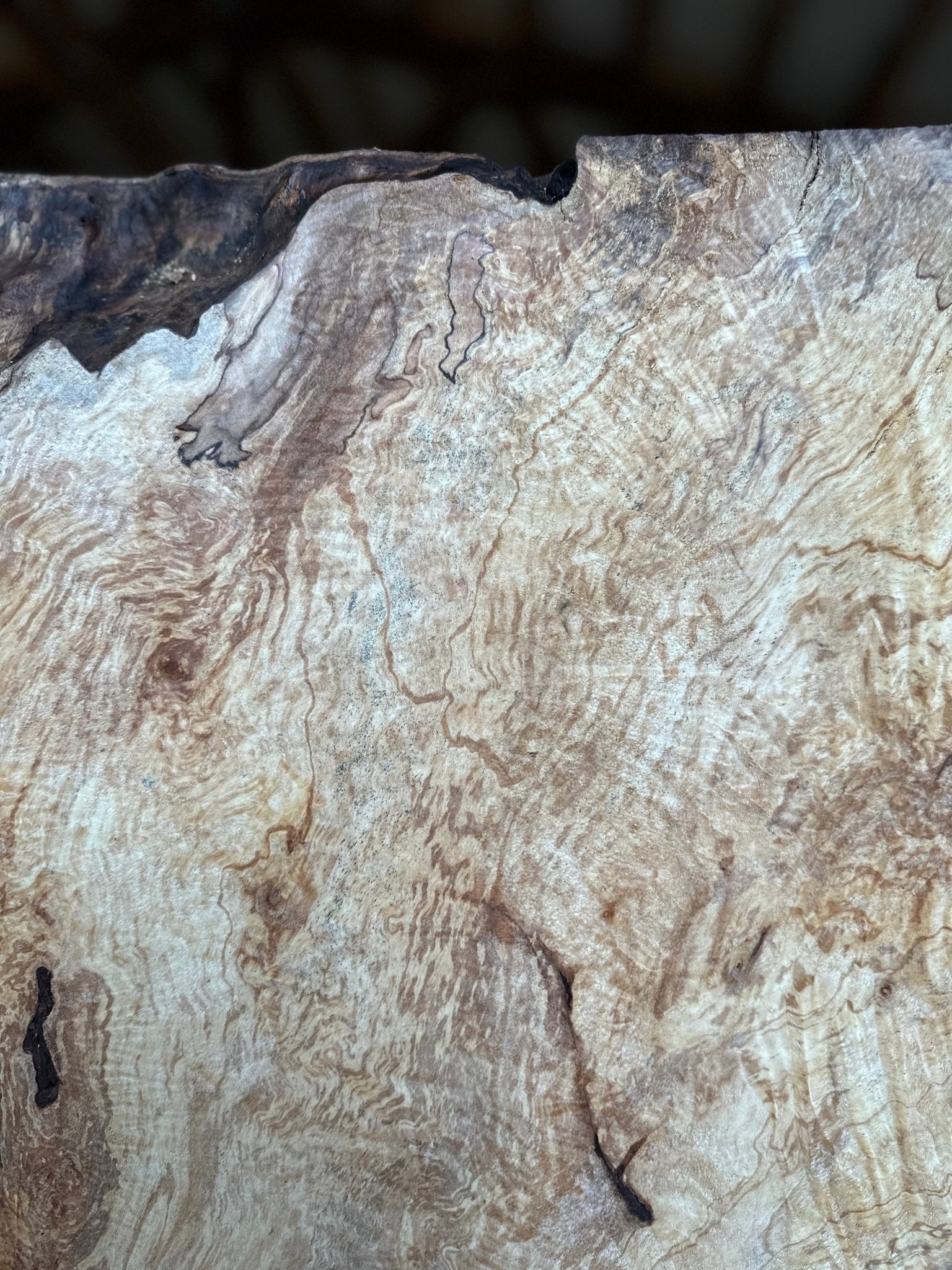 LiveEdge Silver Maple | Silver Maple | Hamilton Lee Supply