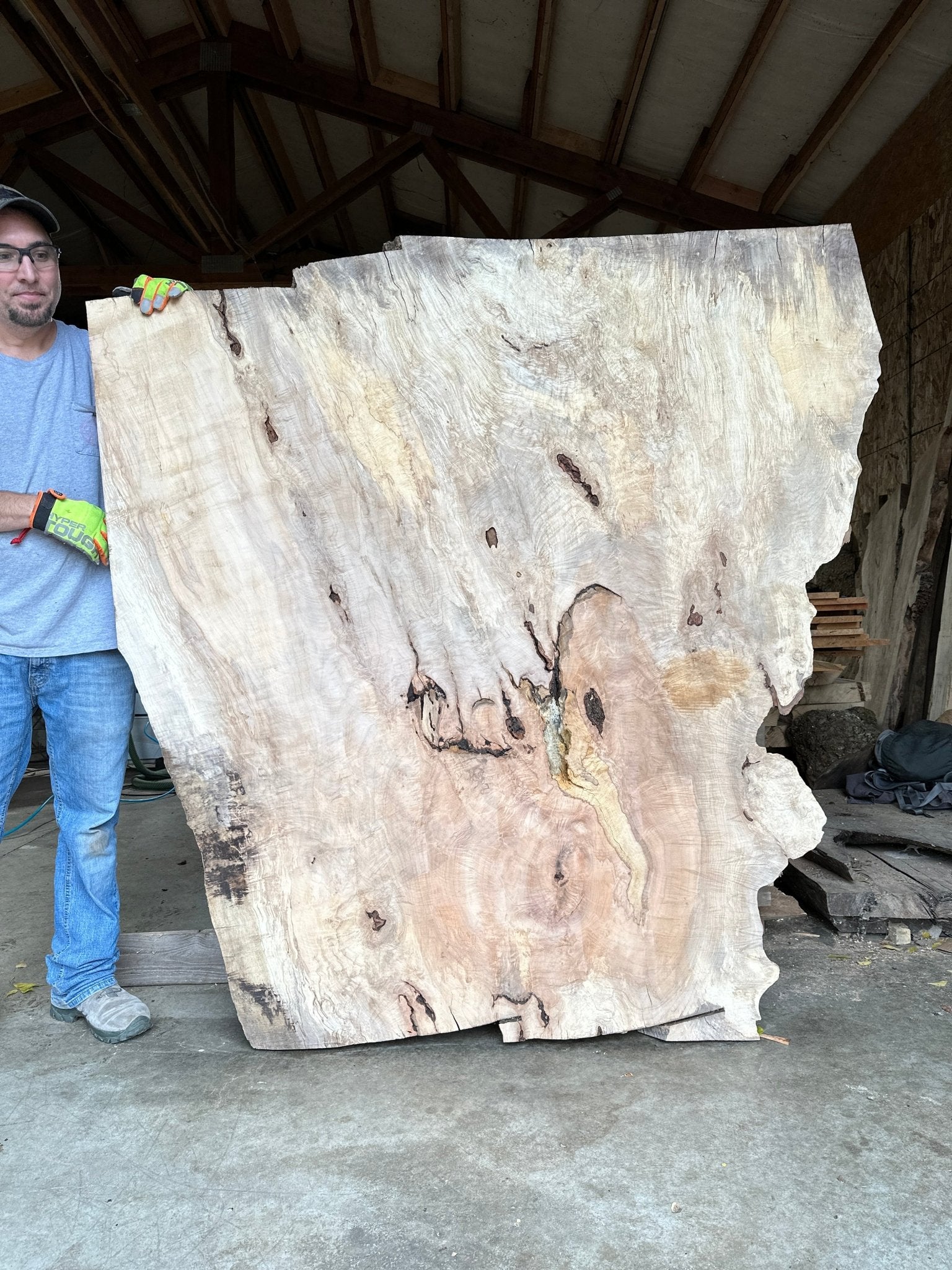 LiveEdge Silver Maple | Silver Maple | Hamilton Lee Supply