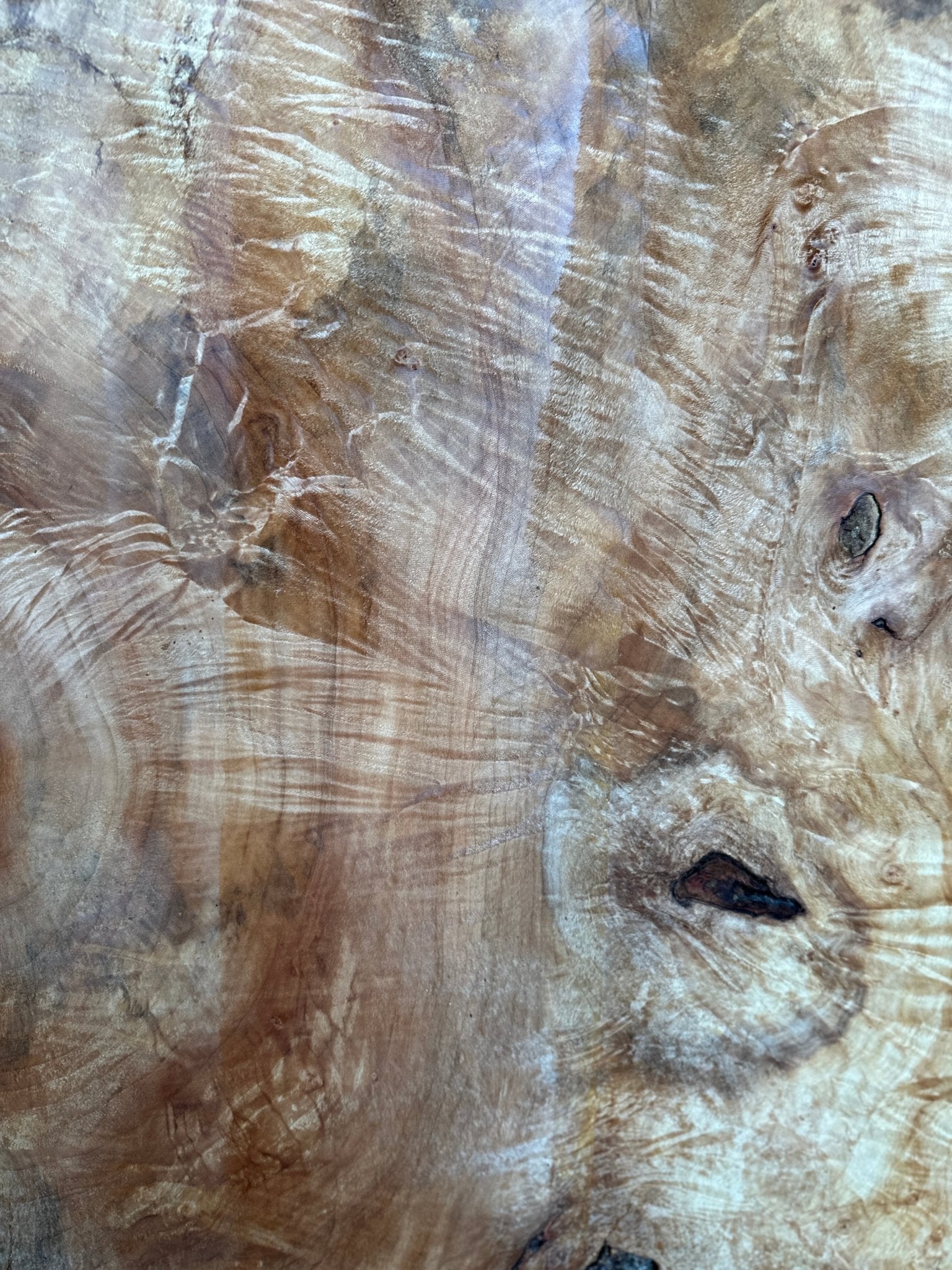 LiveEdge Silver Maple | Silver Maple | Hamilton Lee Supply