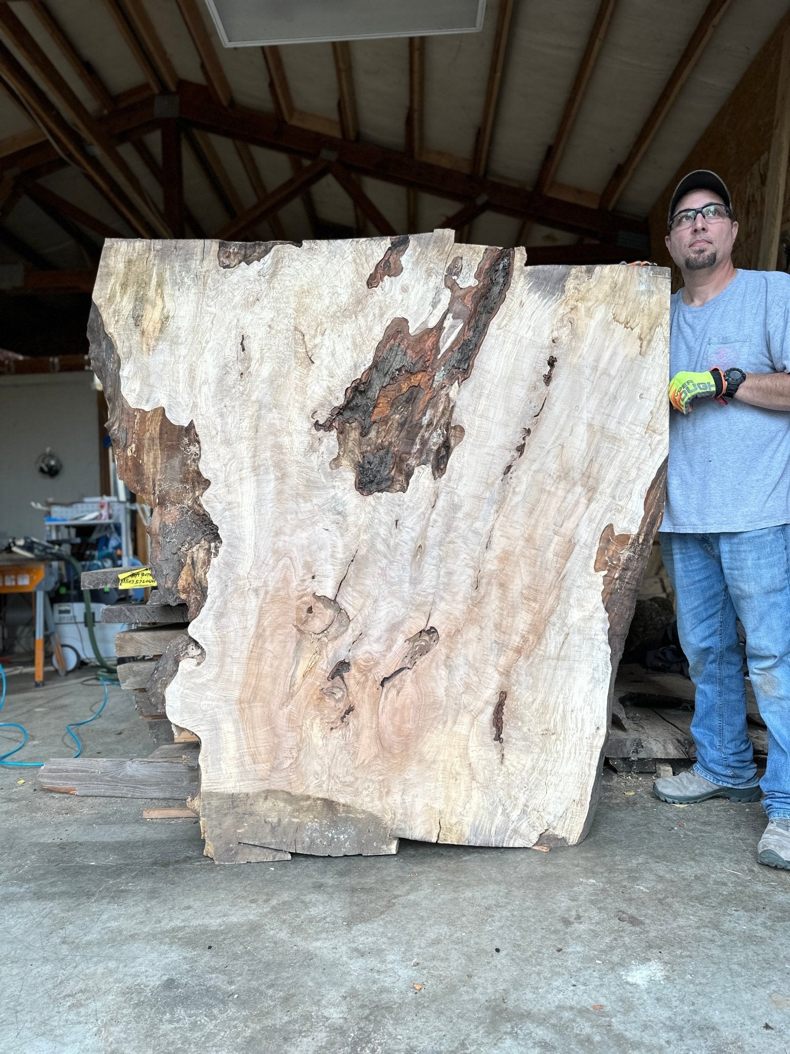 LiveEdge Silver Maple | Silver Maple | Hamilton Lee Supply