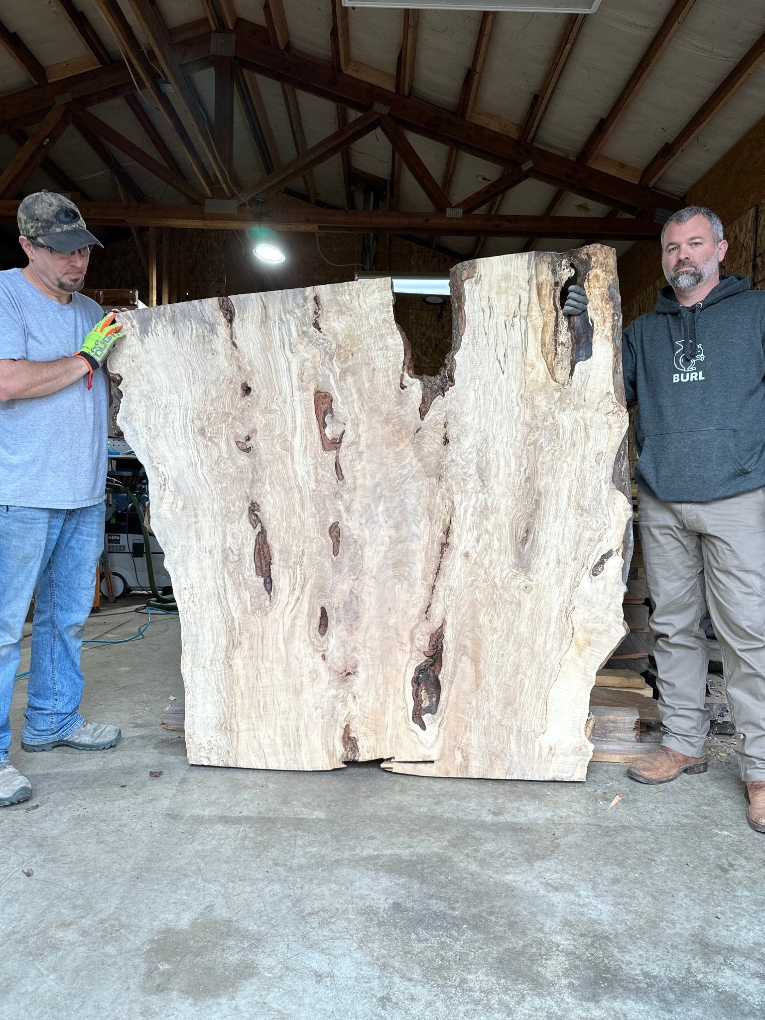 LiveEdge Silver Maple | Silver Maple | Hamilton Lee Supply