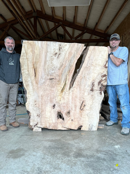Arbor Care | LiveEdge Silver Maple | Silver Maple | Hamilton Lee Supply