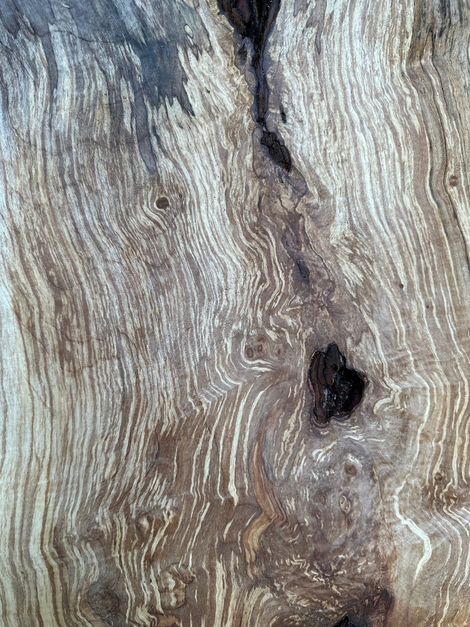 LiveEdge Silver Maple | Silver Maple | Hamilton Lee Supply