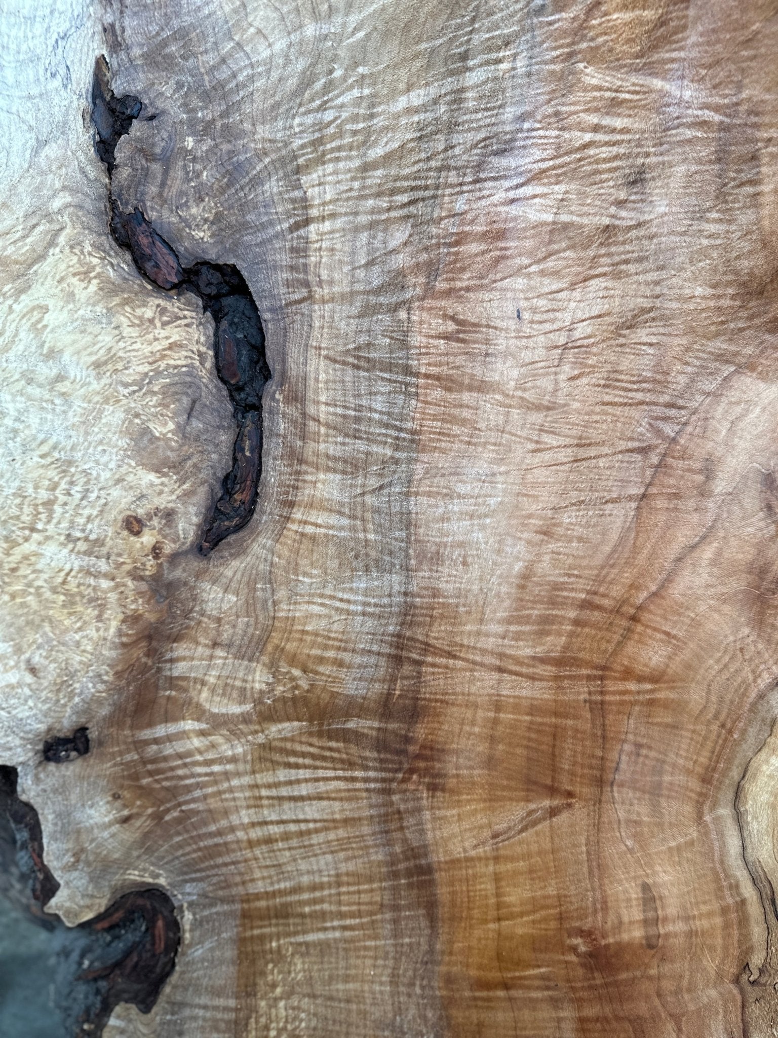 LiveEdge Silver Maple | Silver Maple | Hamilton Lee Supply