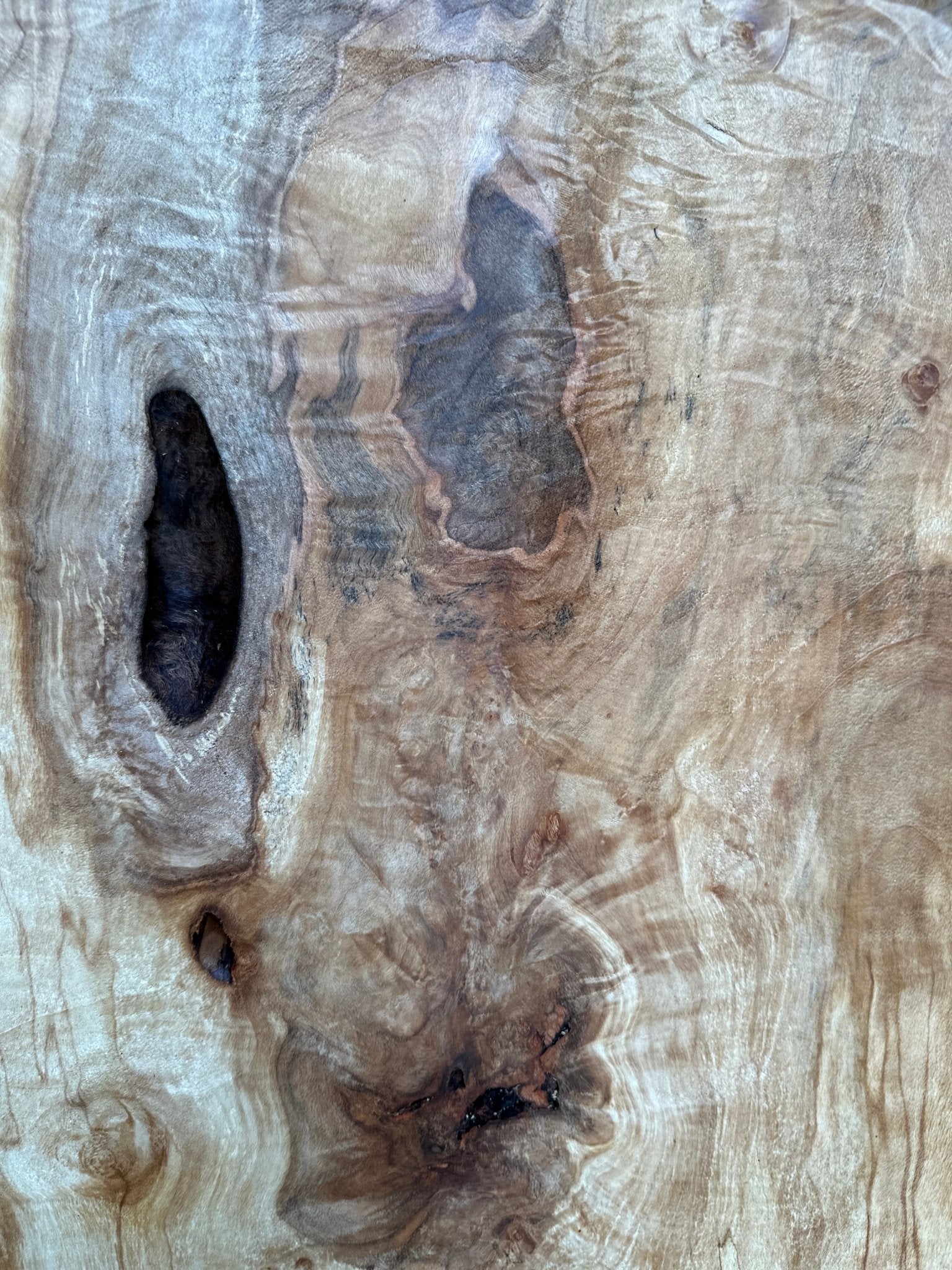 LiveEdge Silver Maple | Silver Maple | Hamilton Lee Supply