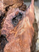 Austin Andreassonn | LiveEdge Redwood Burl | Redwood Burl | Hamilton Lee Supply