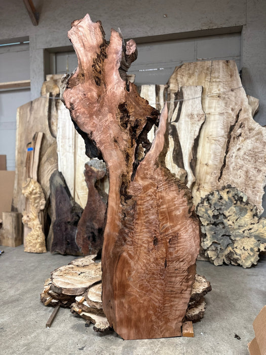 Austin Andreassonn | LiveEdge Redwood Burl | Redwood Burl | Hamilton Lee Supply