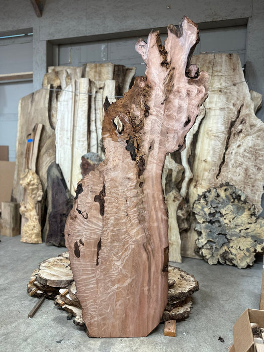 Austin Andreassonn | LiveEdge Redwood Burl | Redwood Burl | Hamilton Lee Supply