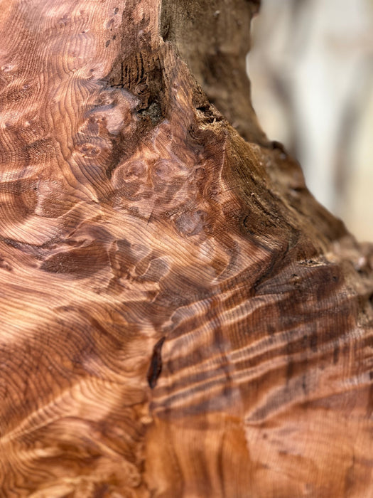 Austin Andreassonn | LiveEdge Redwood Burl | Redwood Burl | Hamilton Lee Supply