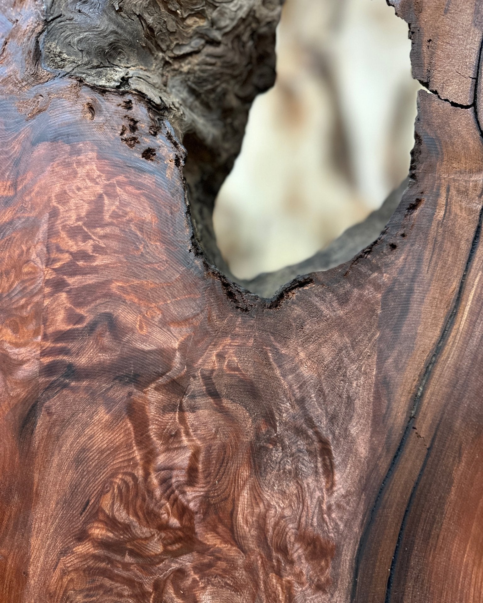 LiveEdge Redwood Burl | Redwood Burl | Hamilton Lee Supply