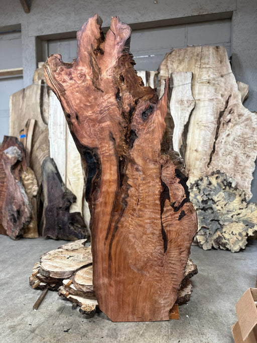 Austin Andreassonn | LiveEdge Redwood Burl | Redwood Burl | Hamilton Lee Supply
